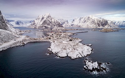 Reine