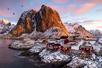 Hamnoy